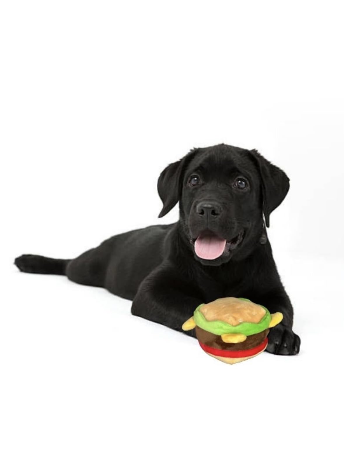 Hamburger Dog Toy with Squeaker I166