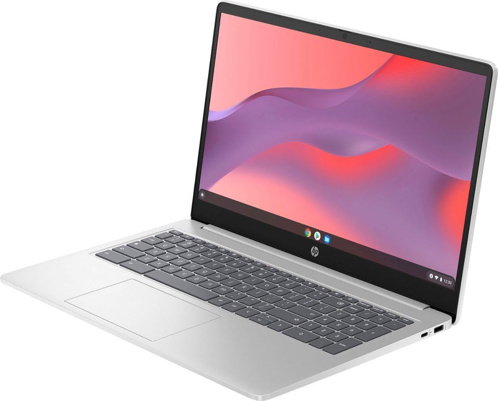 15.6" HD Chromebook Laptop P336