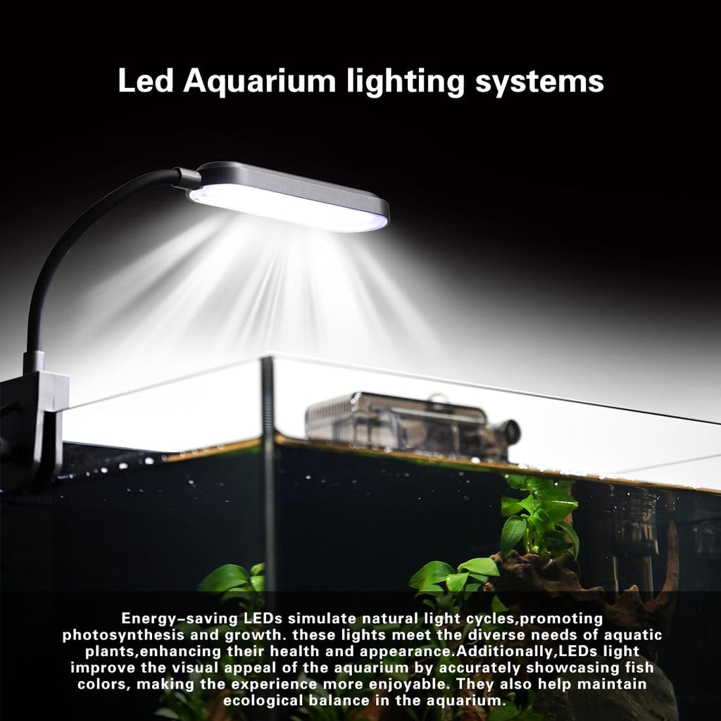 2.8 Gallon Glass Fish Tank with Light and Filter B511588