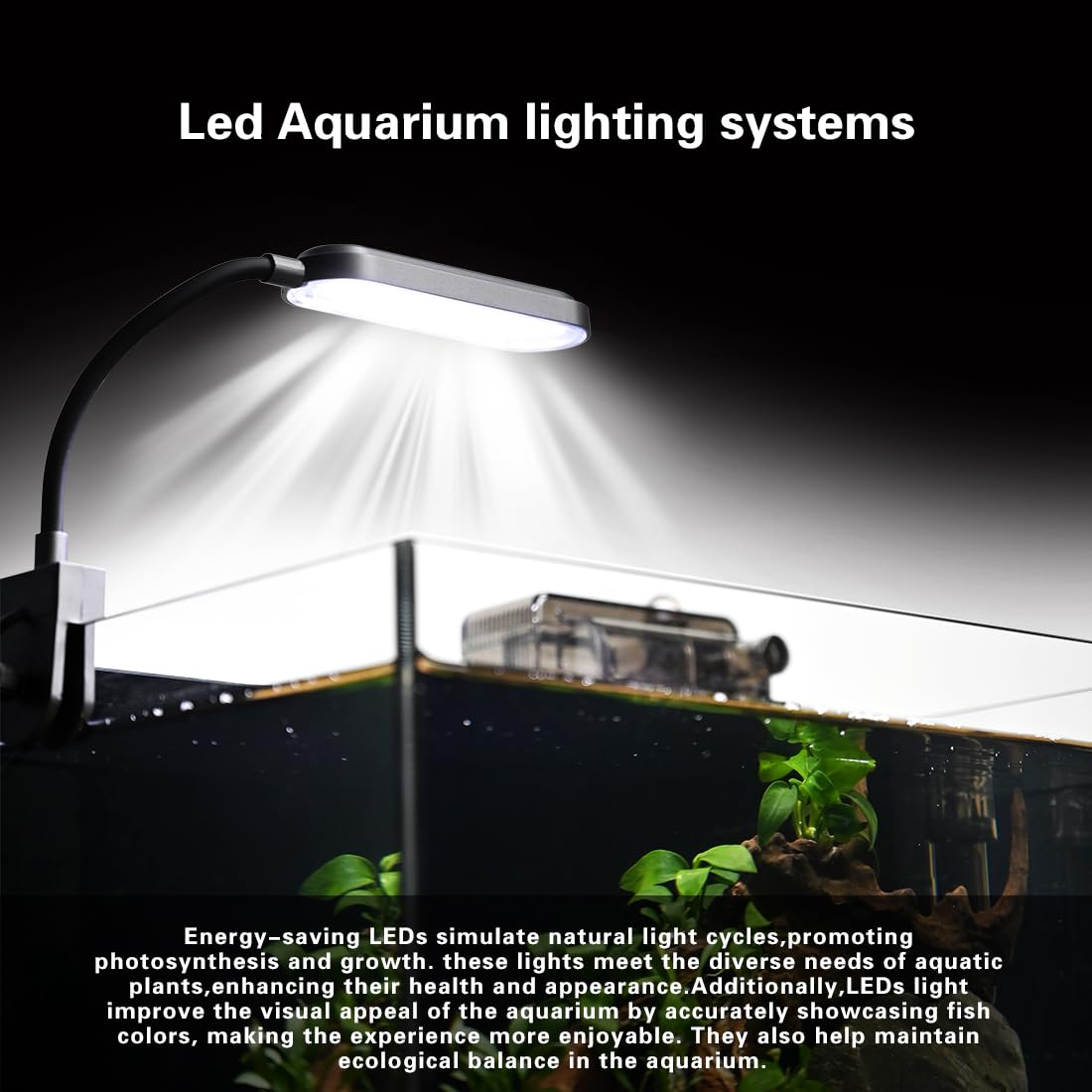 2.8 Gallon Glass Fish Tank with Light and Filter B511588