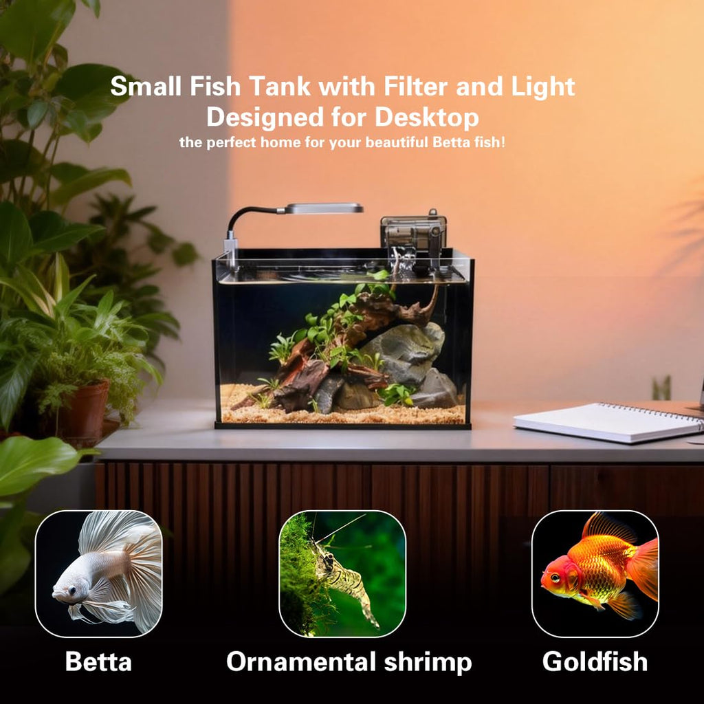 2.8 Gallon Glass Fish Tank with Light and Filter B511588