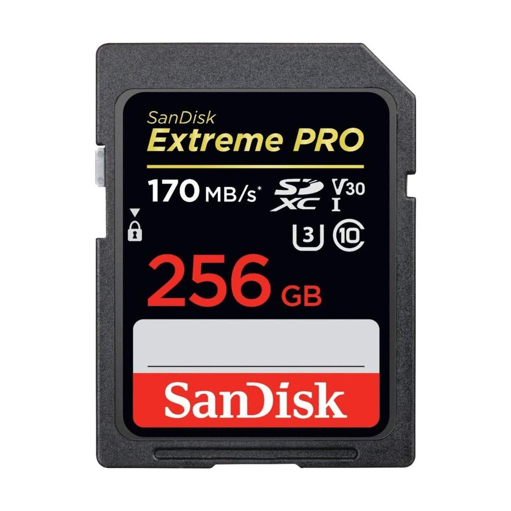 256GB SDXC UHS-I SD Card E988