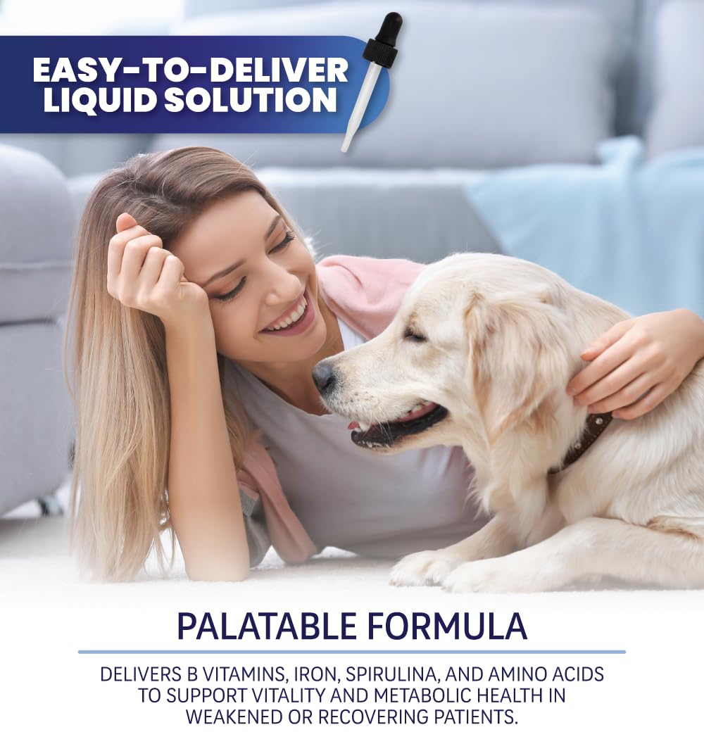 Liquid Pet Supplement with Vitamin B Complex & Iron 2 fl oz D3907