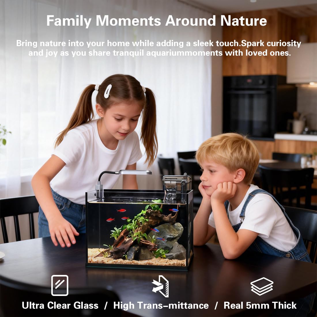 2.8 Gallon Glass Fish Tank with Light and Filter B511588