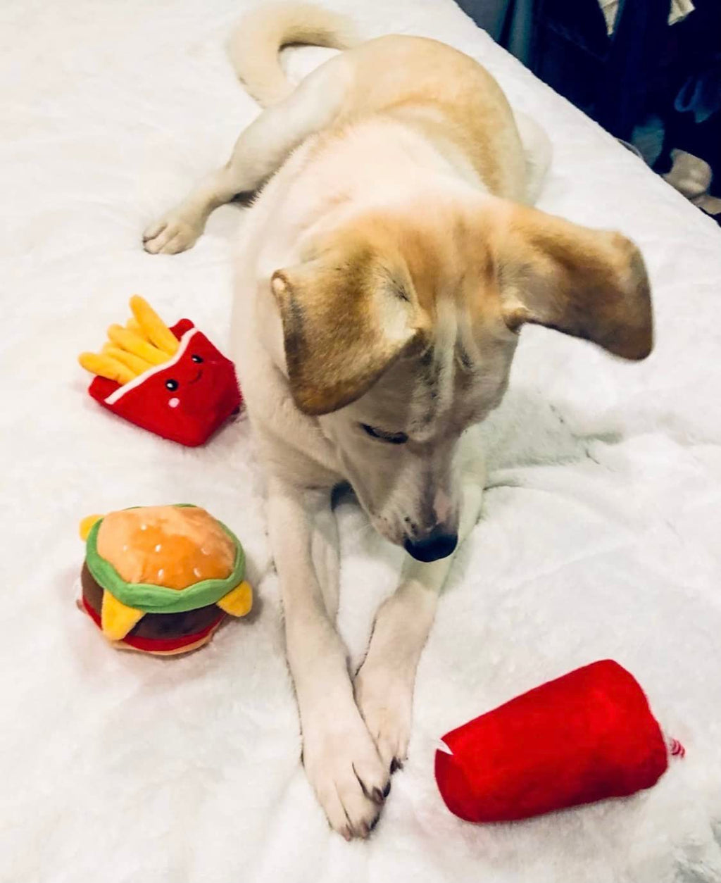 Hamburger Dog Toy with Squeaker I166