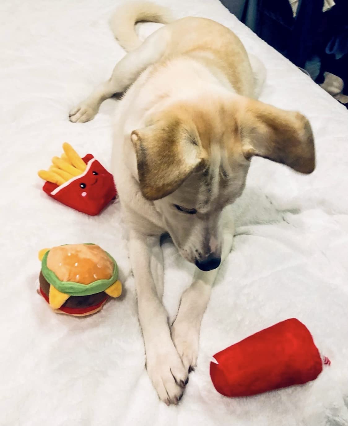 Hamburger Dog Toy with Squeaker I166