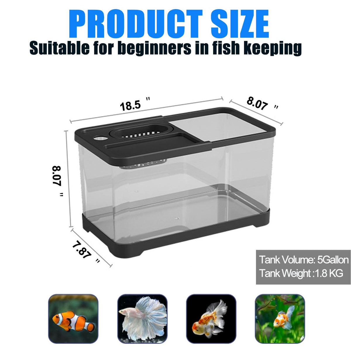 5 Gallon Plastic Fish Tank with Filter and Lid S608911