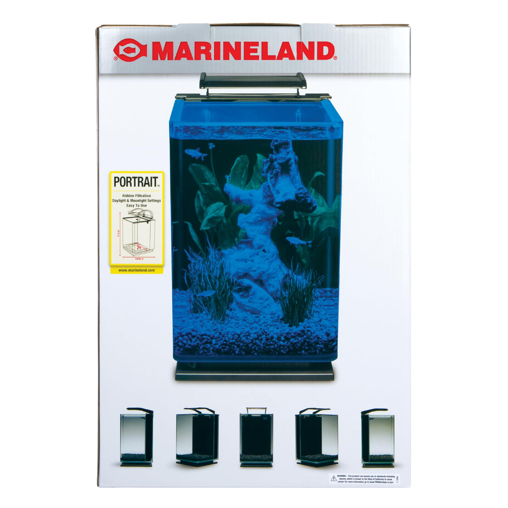 Glass LED Aquarium Kit, 5 Gallons, Hidden Filtration, Black H1058