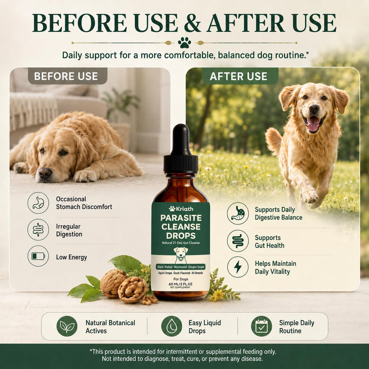 Black Walnut & Wormwood Herbal Drops 60 mL / 2 Fl Oz M826441