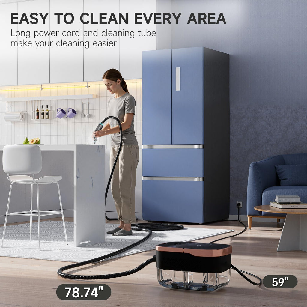 Steam Cleaner with Replacement Heads Z4357