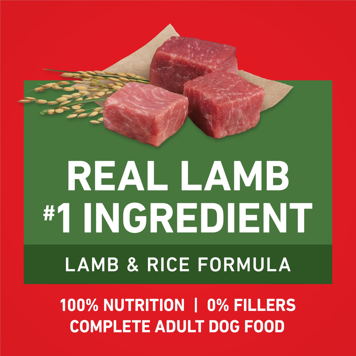 Lamb and Rice Formula Dry Dog Food J65462