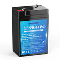6.4V 4.6Ah LiFePO4 Battery T72255