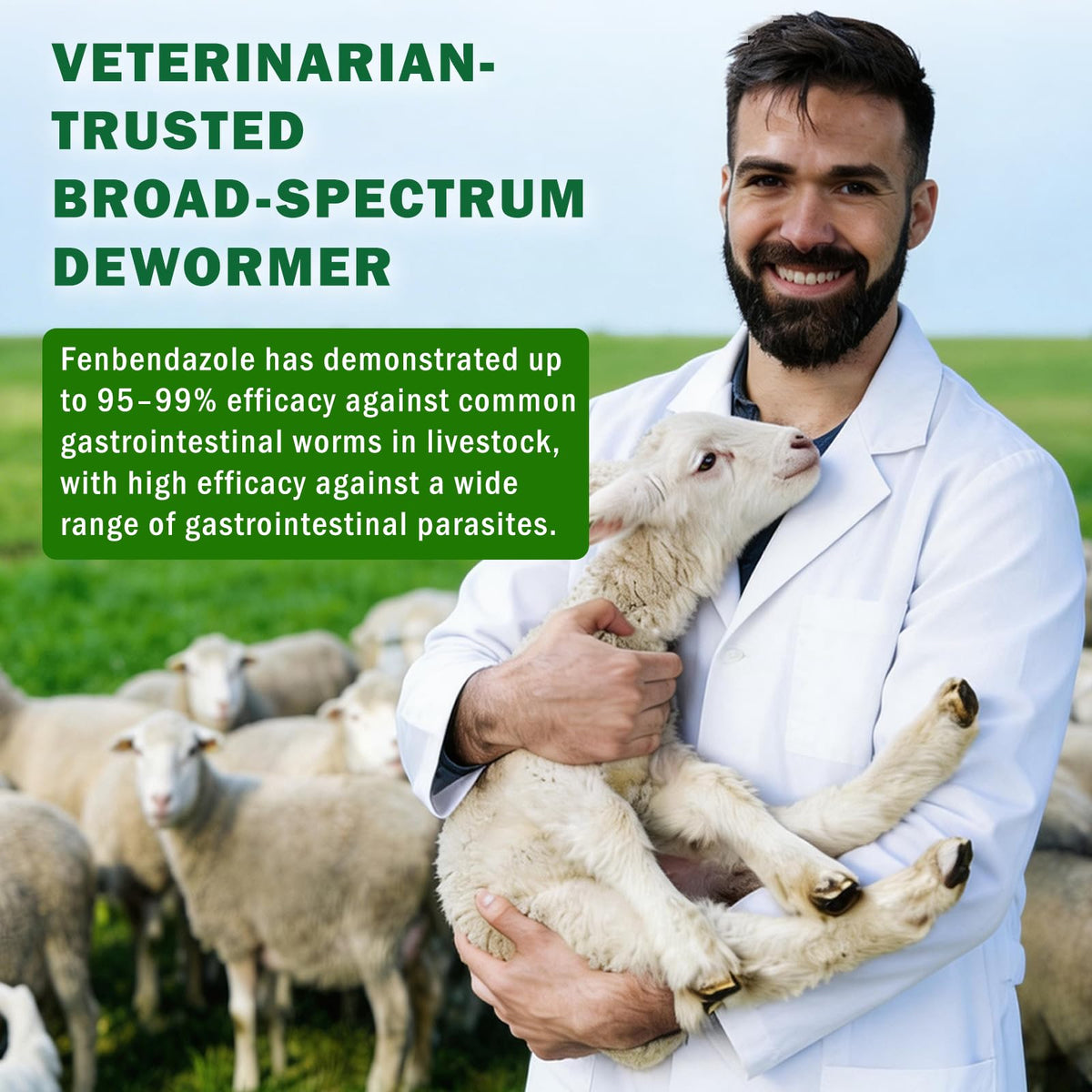 Fenbendazole Dewormer Liquid for Goat & Sheep R3784