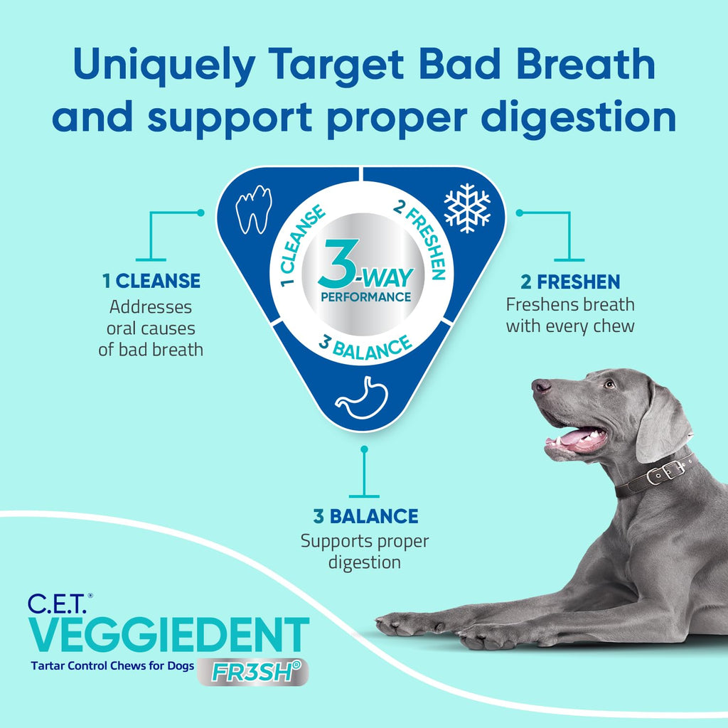 Plaque and Tartar Control Chews for Dogs, Medium V186822