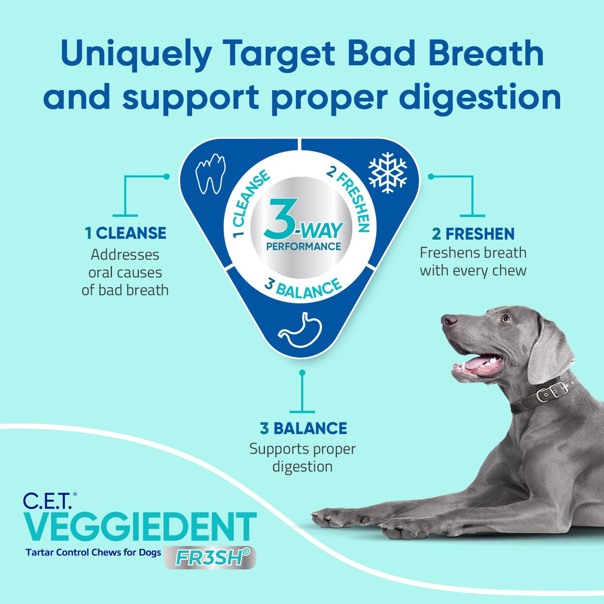 Plaque and Tartar Control Chews for Dogs, Medium V186822