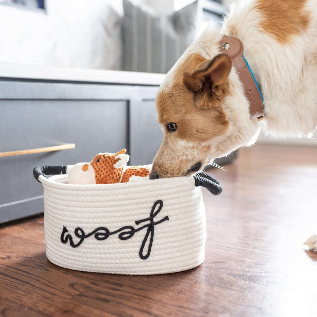 Puppy Gift Basket A40962