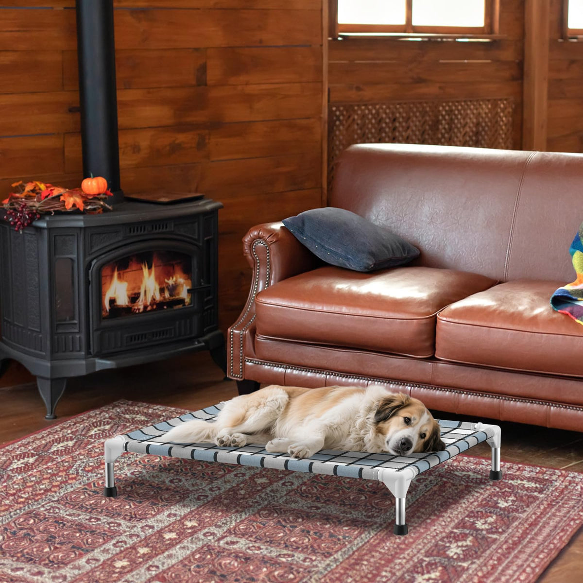 Elevated Outdoor Raised Dog Bed A92426