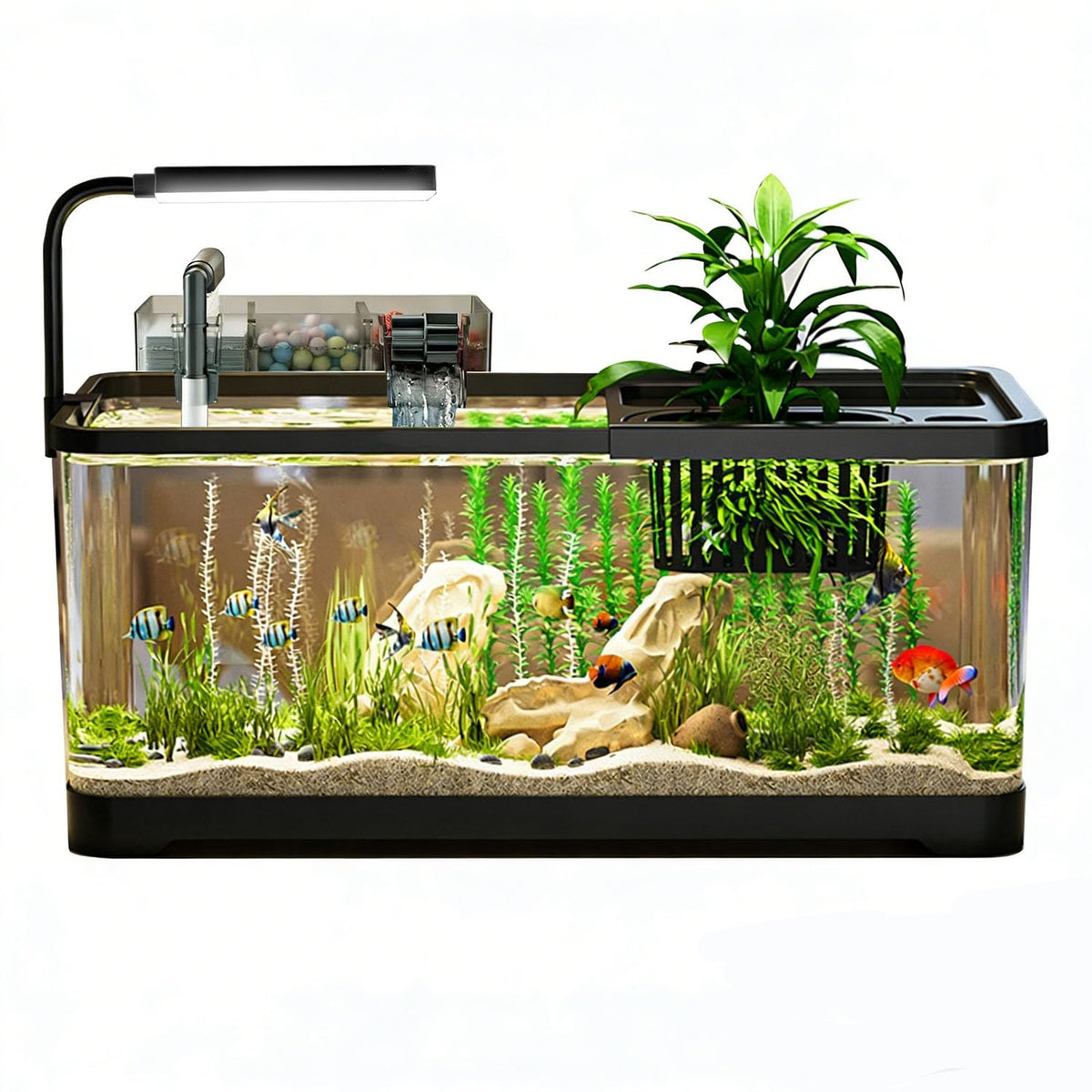 5 Gallon Plastic Fish Tank with Filter and Lid S608911