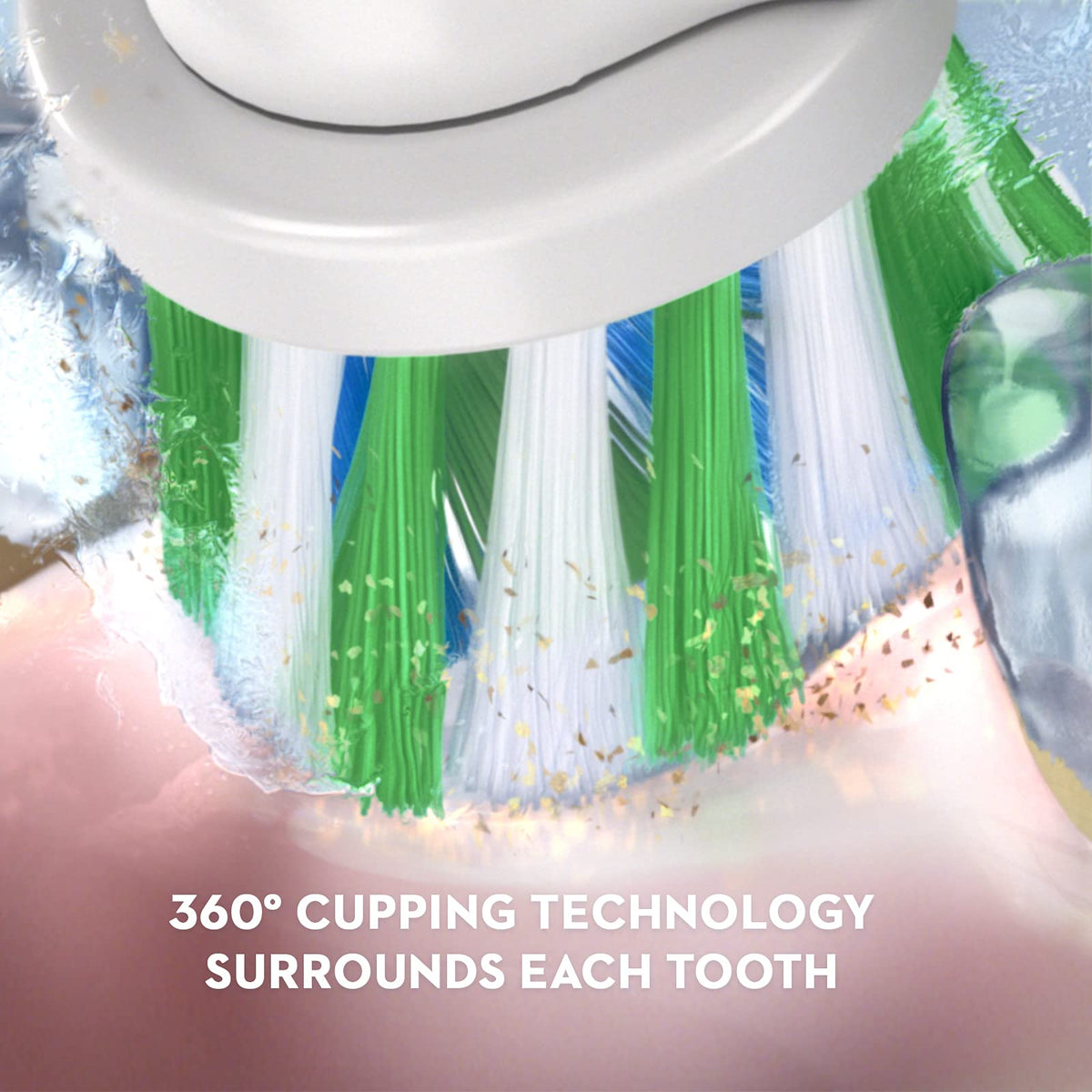 Black and White 2 Count Electric Toothbrush Y5177