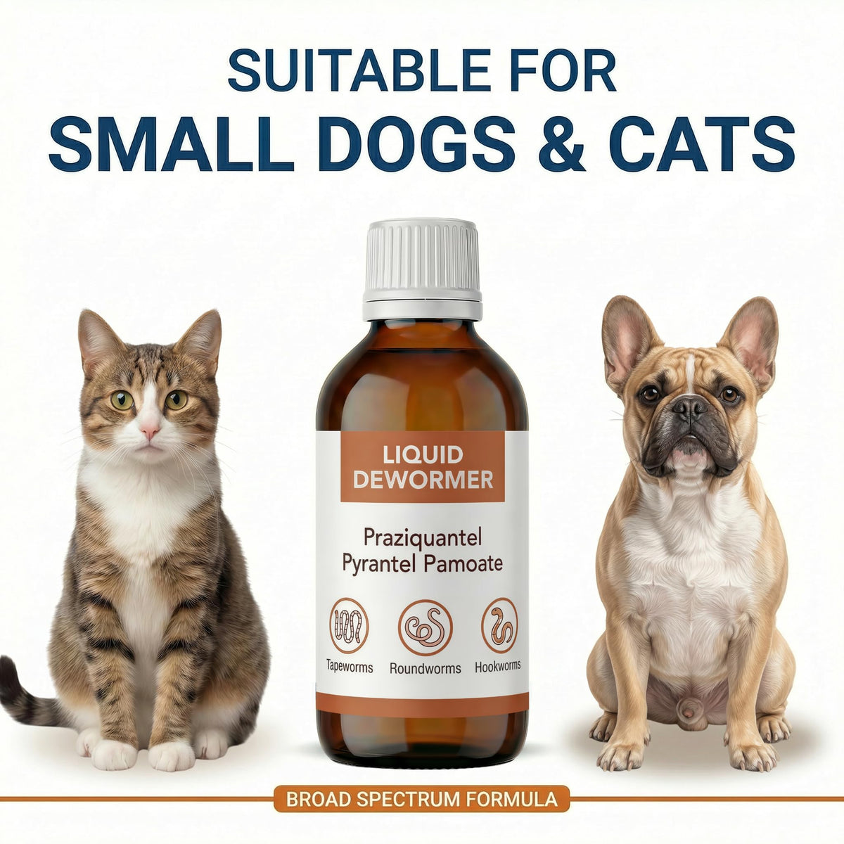 Praziquantel & Pyrantel Liquid Dewormer for Dog and Cat 3.4 fl oz H624772