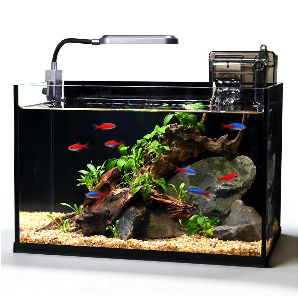 2.8 Gallon Glass Fish Tank with Light and Filter B511588