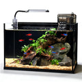 2.8 Gallon Glass Fish Tank with Light and Filter B511588