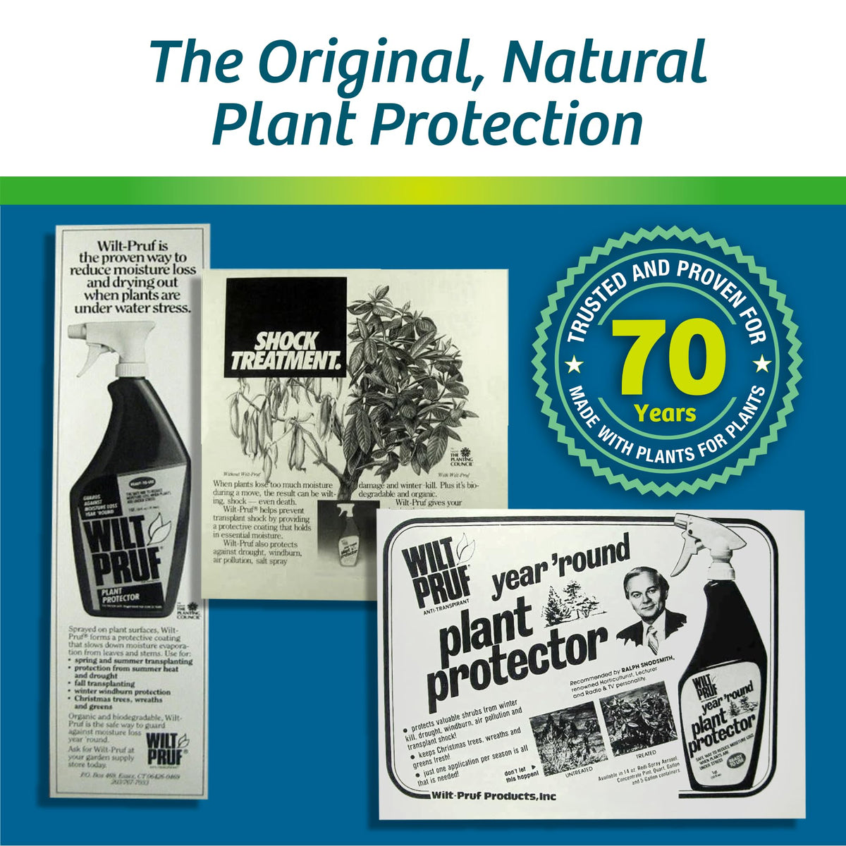 16 oz Concentrate O686