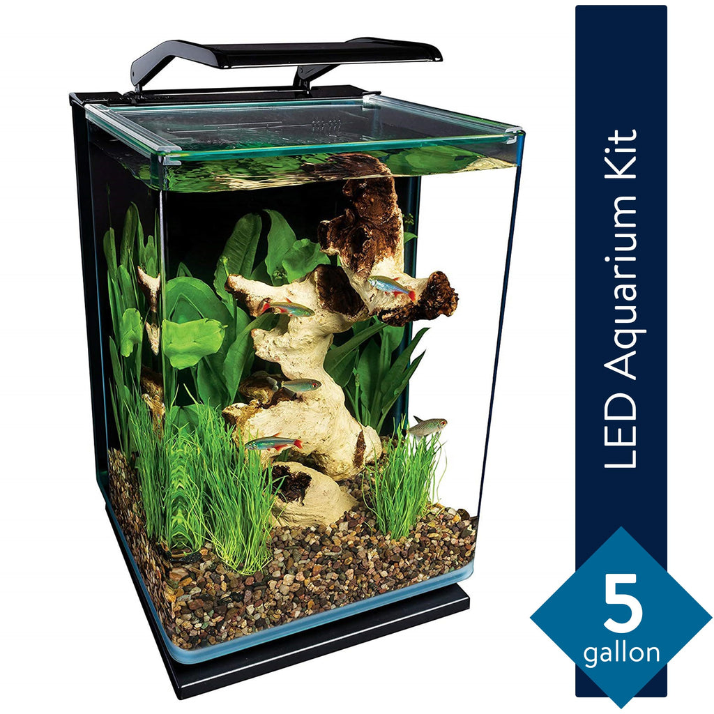 Glass LED Aquarium Kit, 5 Gallons, Hidden Filtration, Black H1058