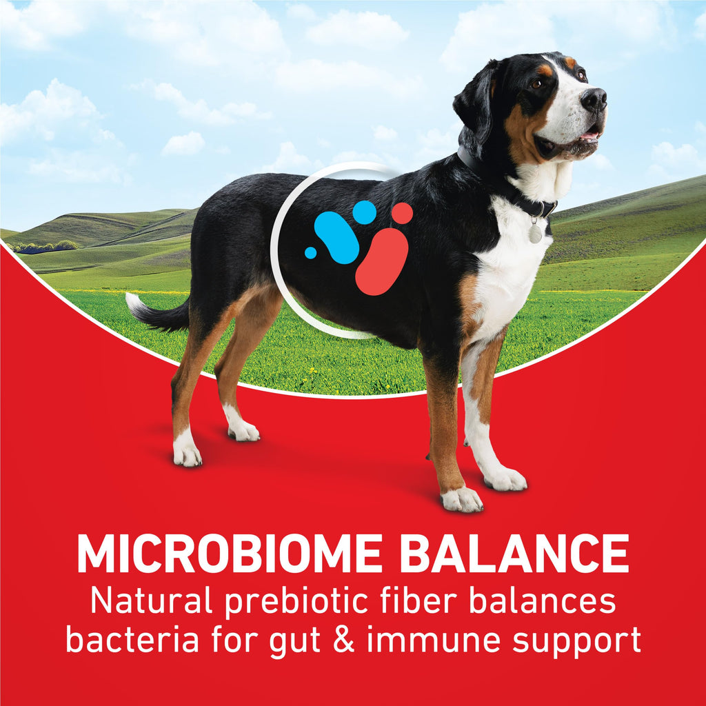 Lamb and Rice Formula Dry Dog Food J65462