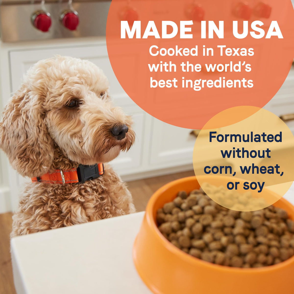 Dry Dog Food with Chicken Turkey & Lamb, 40 lbs Q933