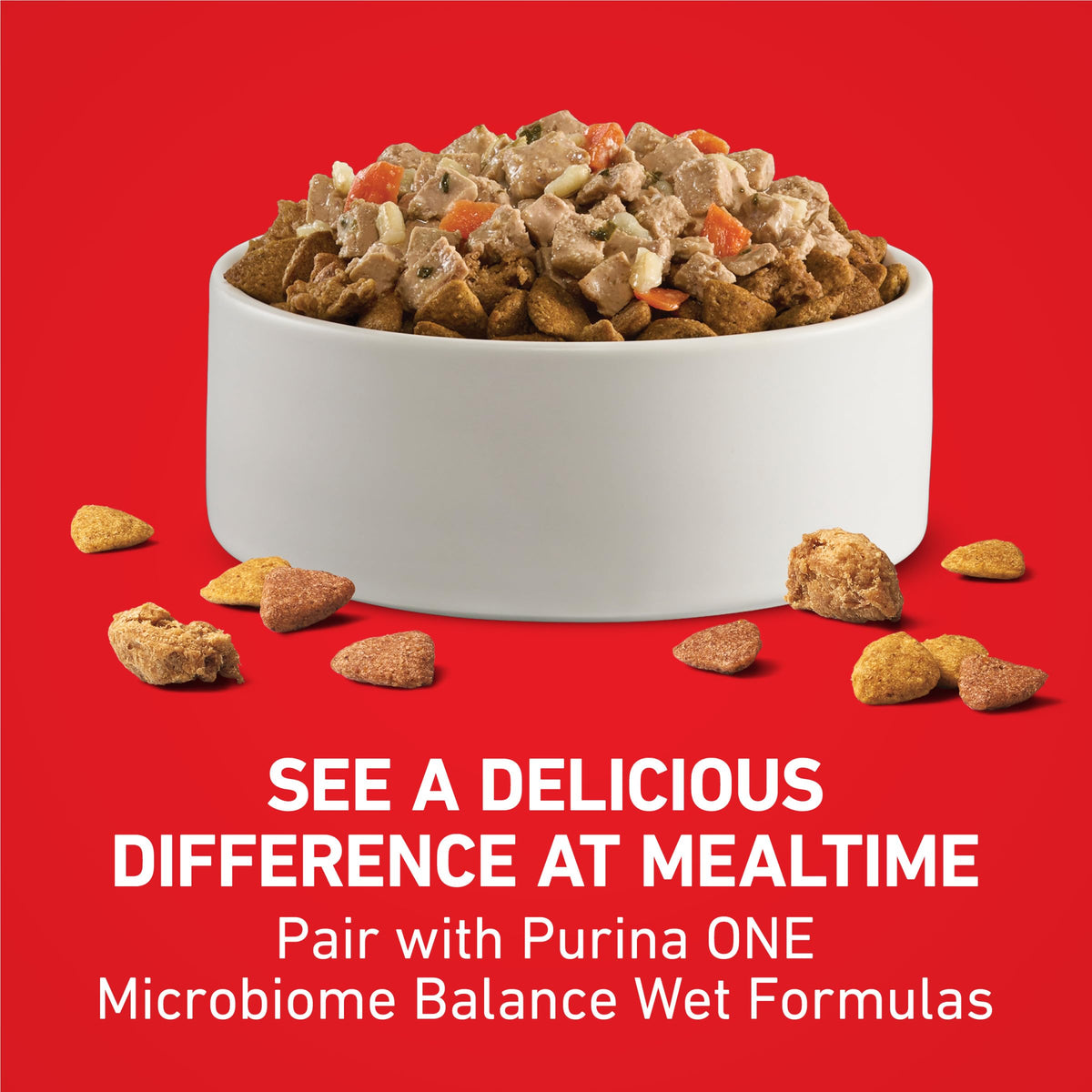 Lamb and Rice Formula Dry Dog Food J65462