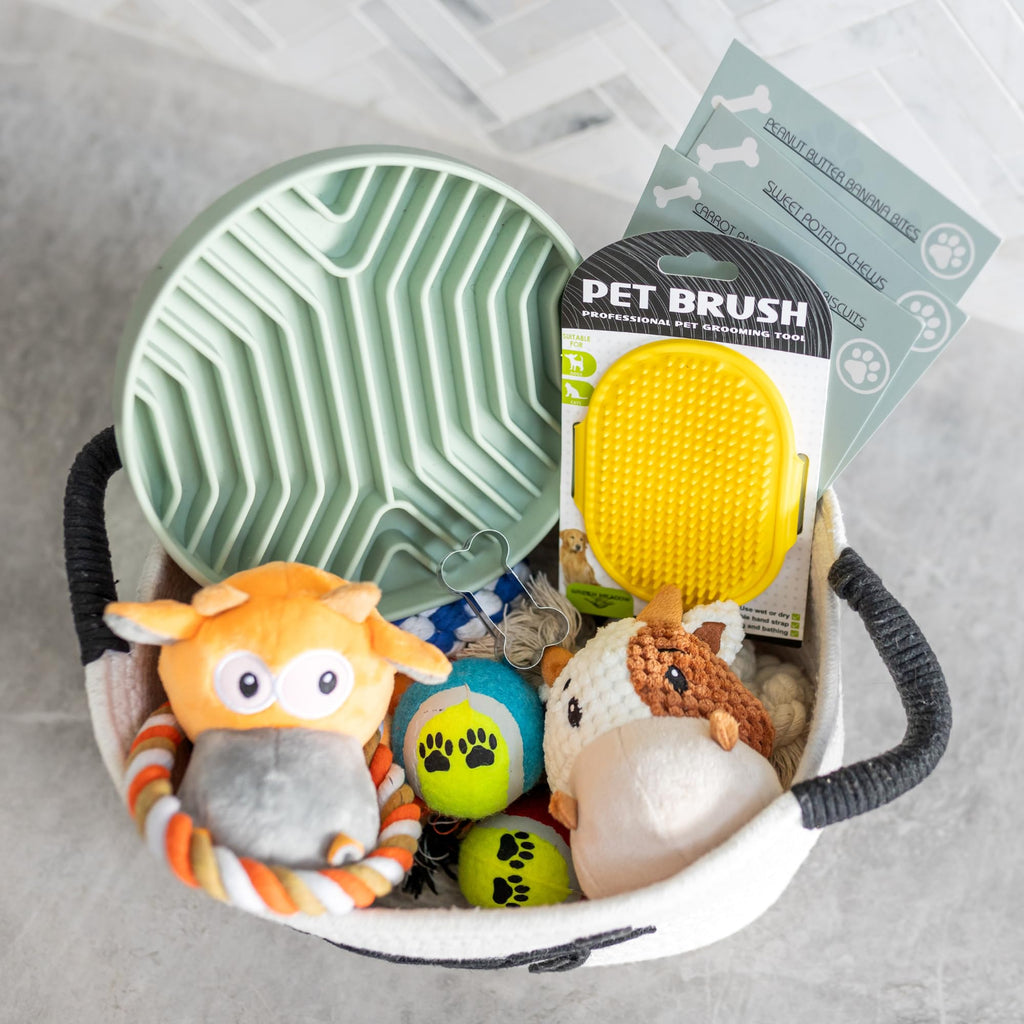 Puppy Gift Basket A40962