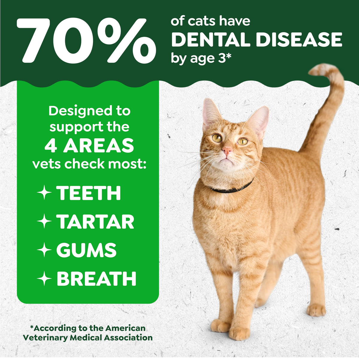 Catnip Flavor Dental Cat Treats 4.6 oz C124950