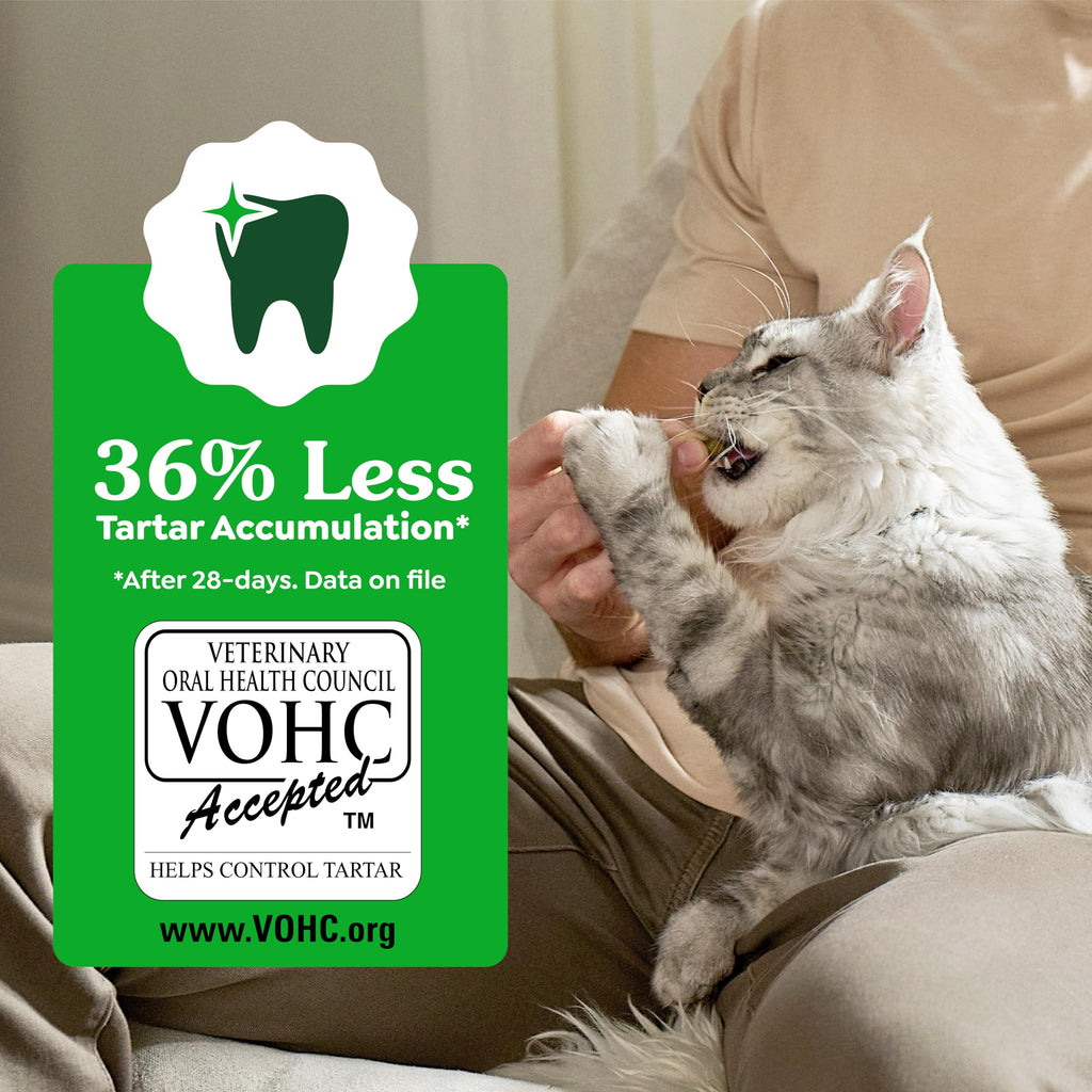 Catnip Flavor Dental Cat Treats 4.6 oz C124950