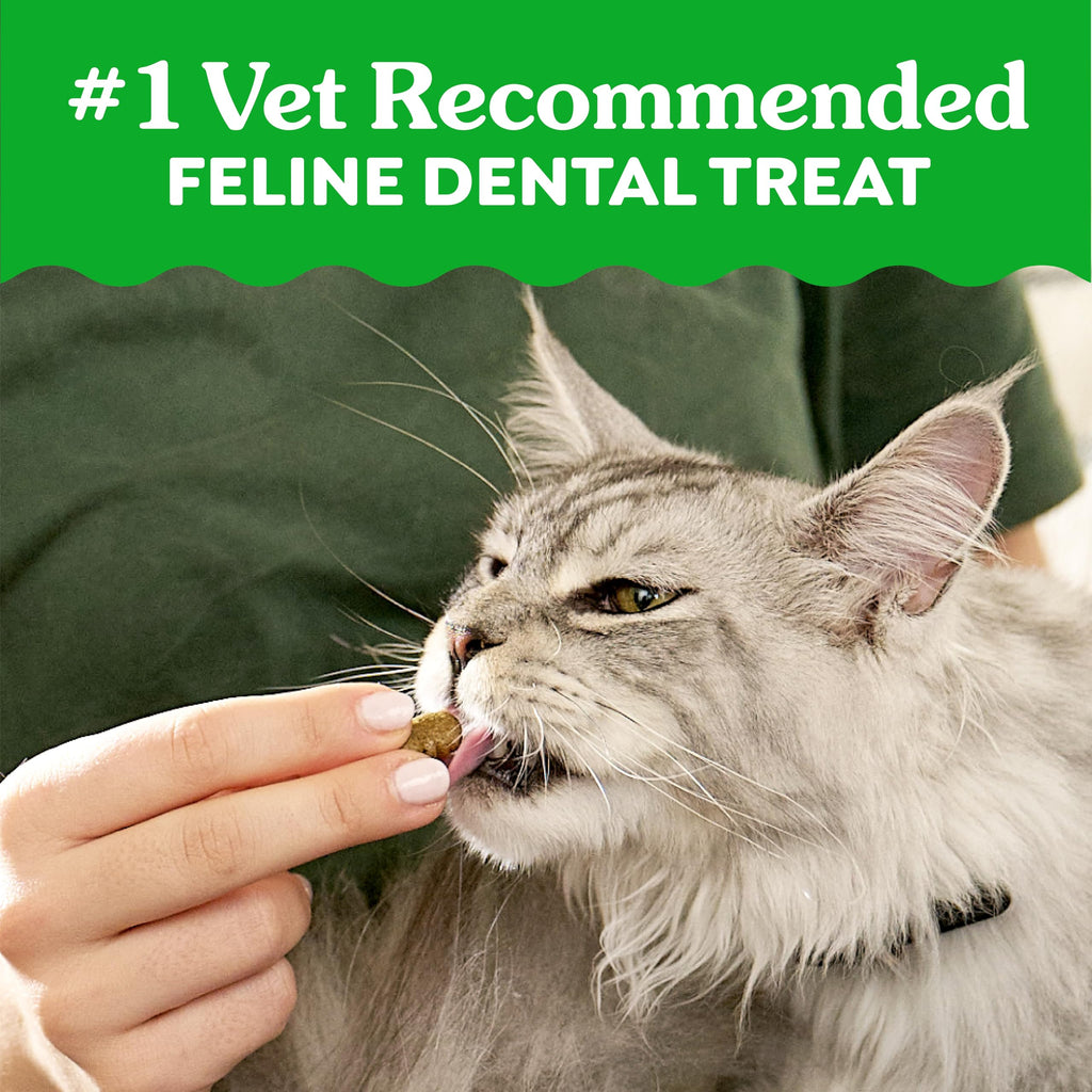 Catnip Flavor Dental Cat Treats 4.6 oz C124950