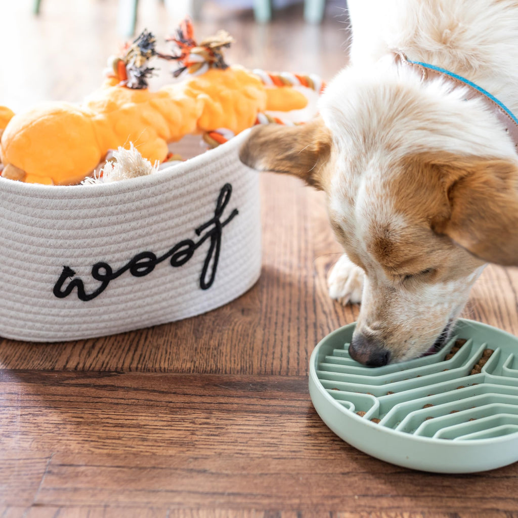 Puppy Gift Basket A40962