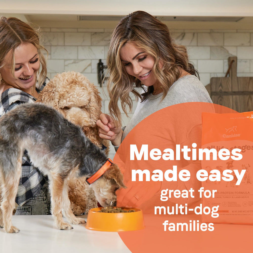 Dry Dog Food with Chicken Turkey & Lamb, 40 lbs Q933