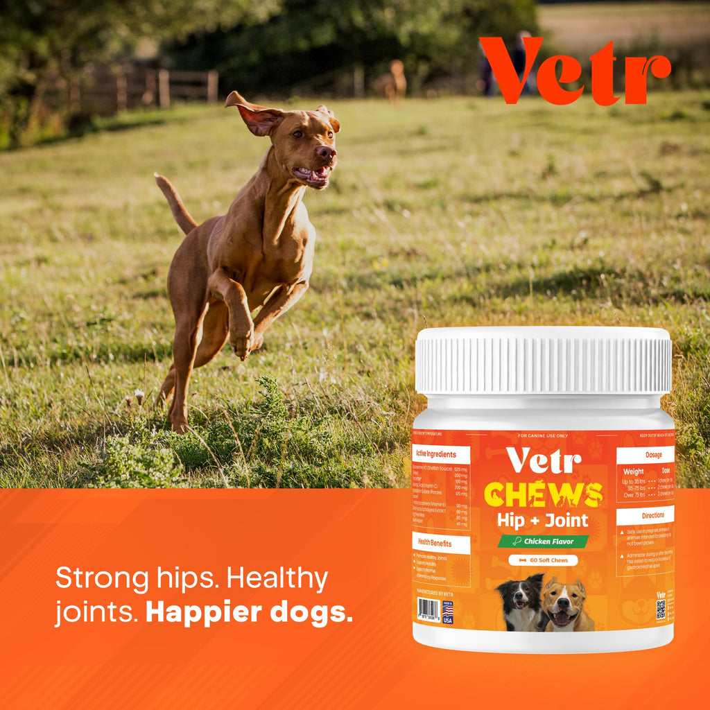 Chicken Flavored Hip and Joint Chews for Dogs, 60 Chewable Tablets R229