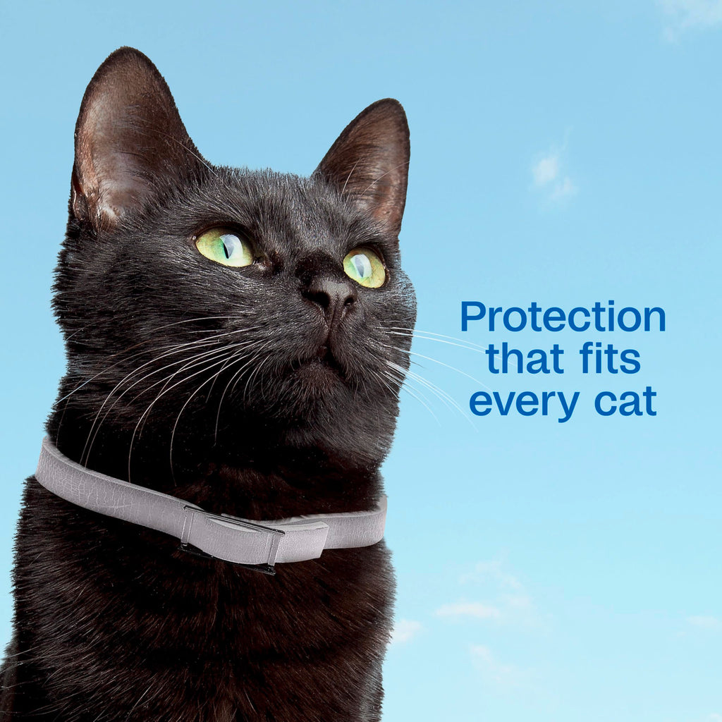 Adjustable Flea & Tick Collar for Cats O393