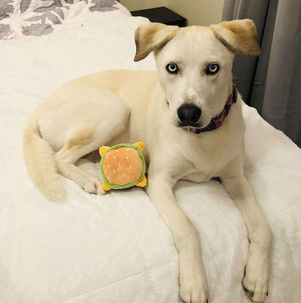 Hamburger Dog Toy with Squeaker I166