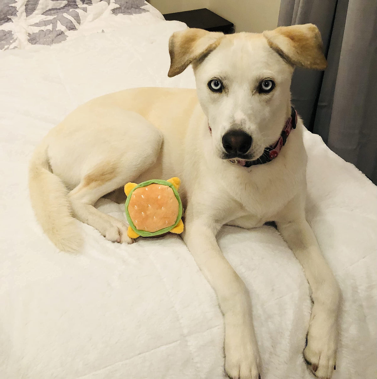 Hamburger Dog Toy with Squeaker I166