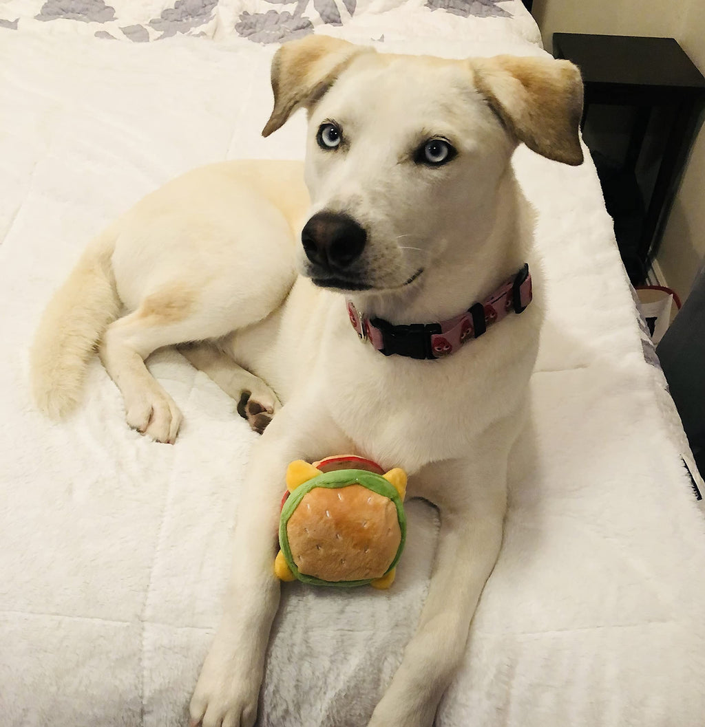Hamburger Dog Toy with Squeaker I166
