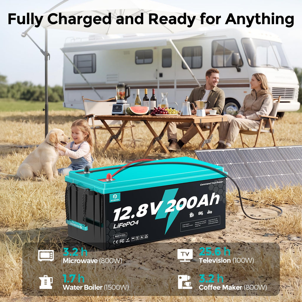 12V 200Ah LiFePO4 Battery W1605