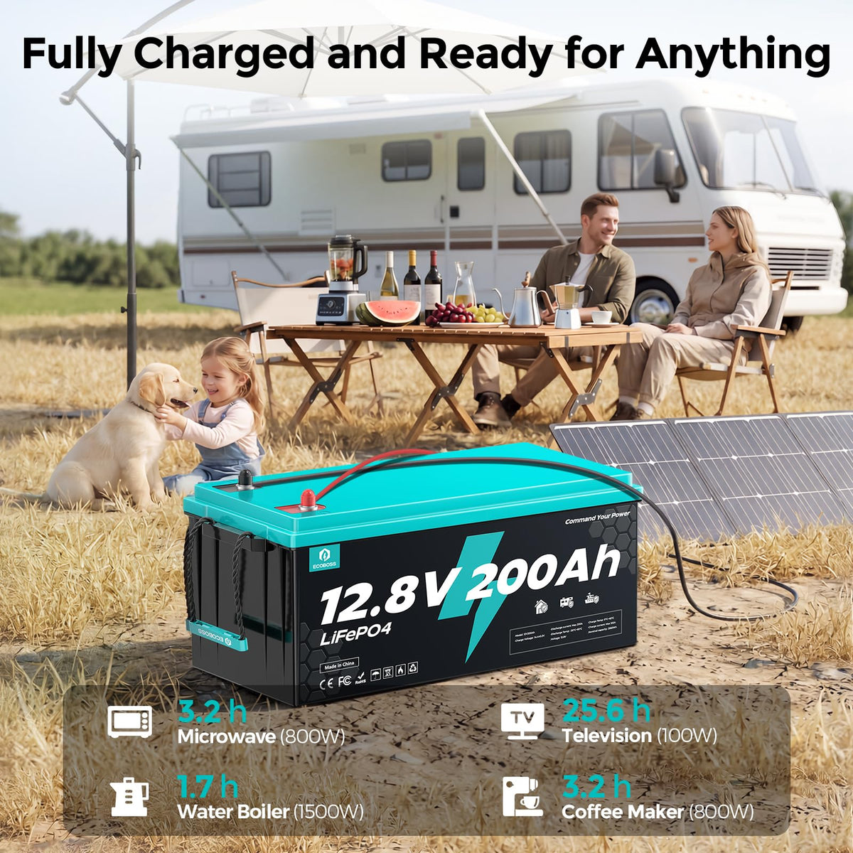 12V 200Ah LiFePO4 Battery W1605
