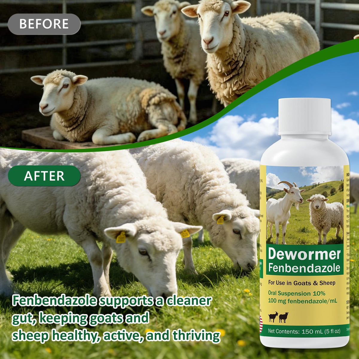 Fenbendazole Dewormer Liquid for Goat & Sheep R3784