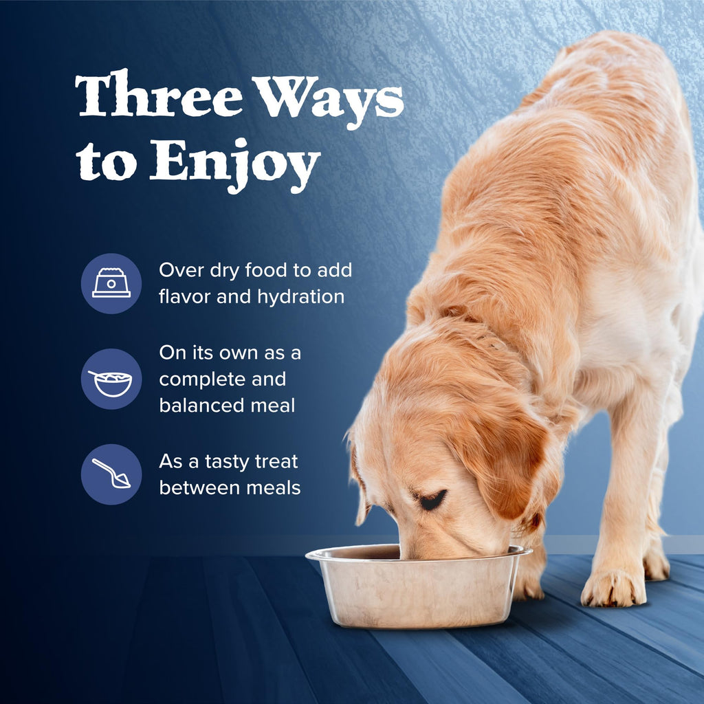 High Protein Wet Food for Senior Dogs, Turkey & Chicken, 12.5-oz Cans, Pack of 24 Y3896