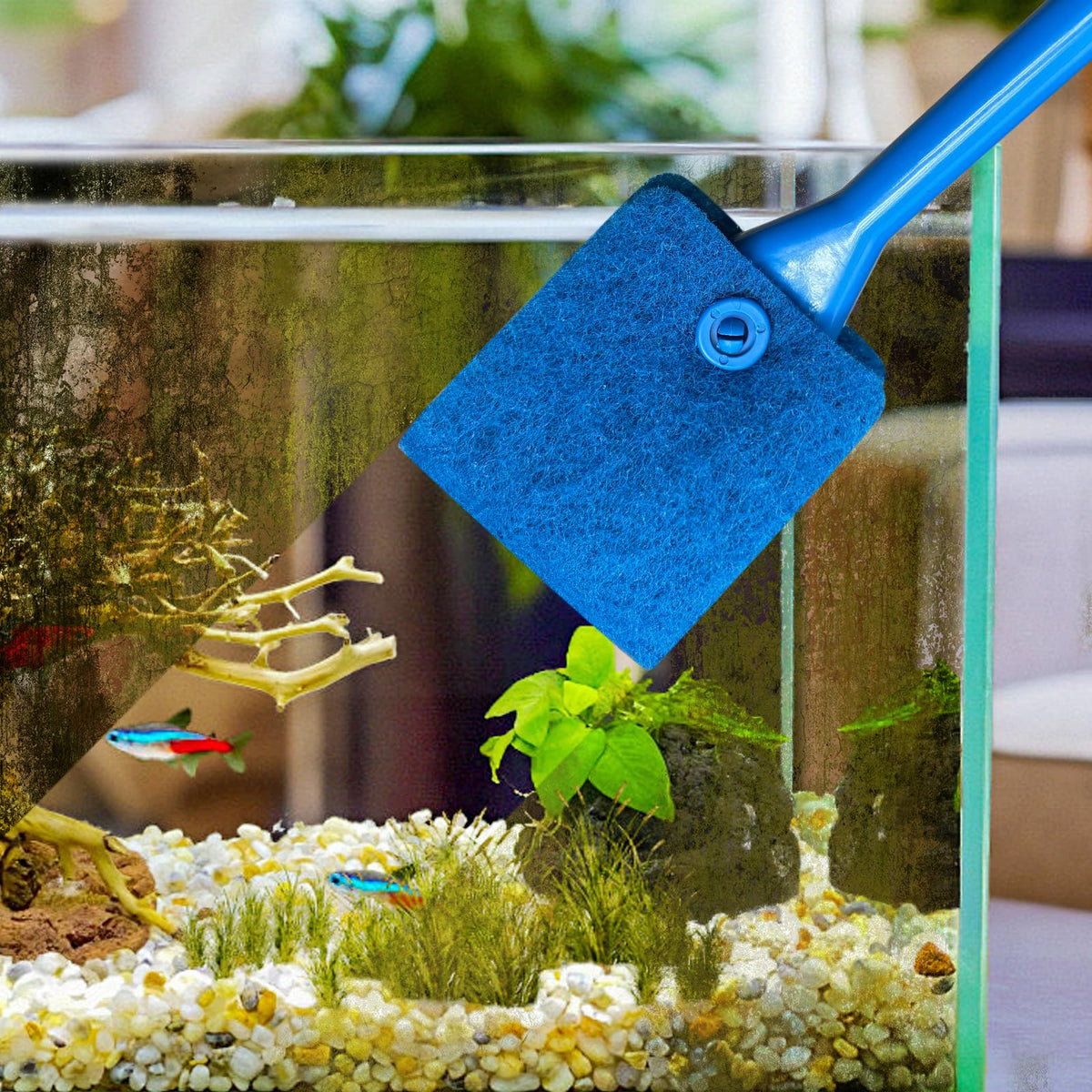Double Sided Aquarium Cleaning Brush I239457