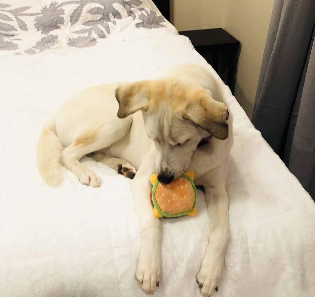 Hamburger Dog Toy with Squeaker I166