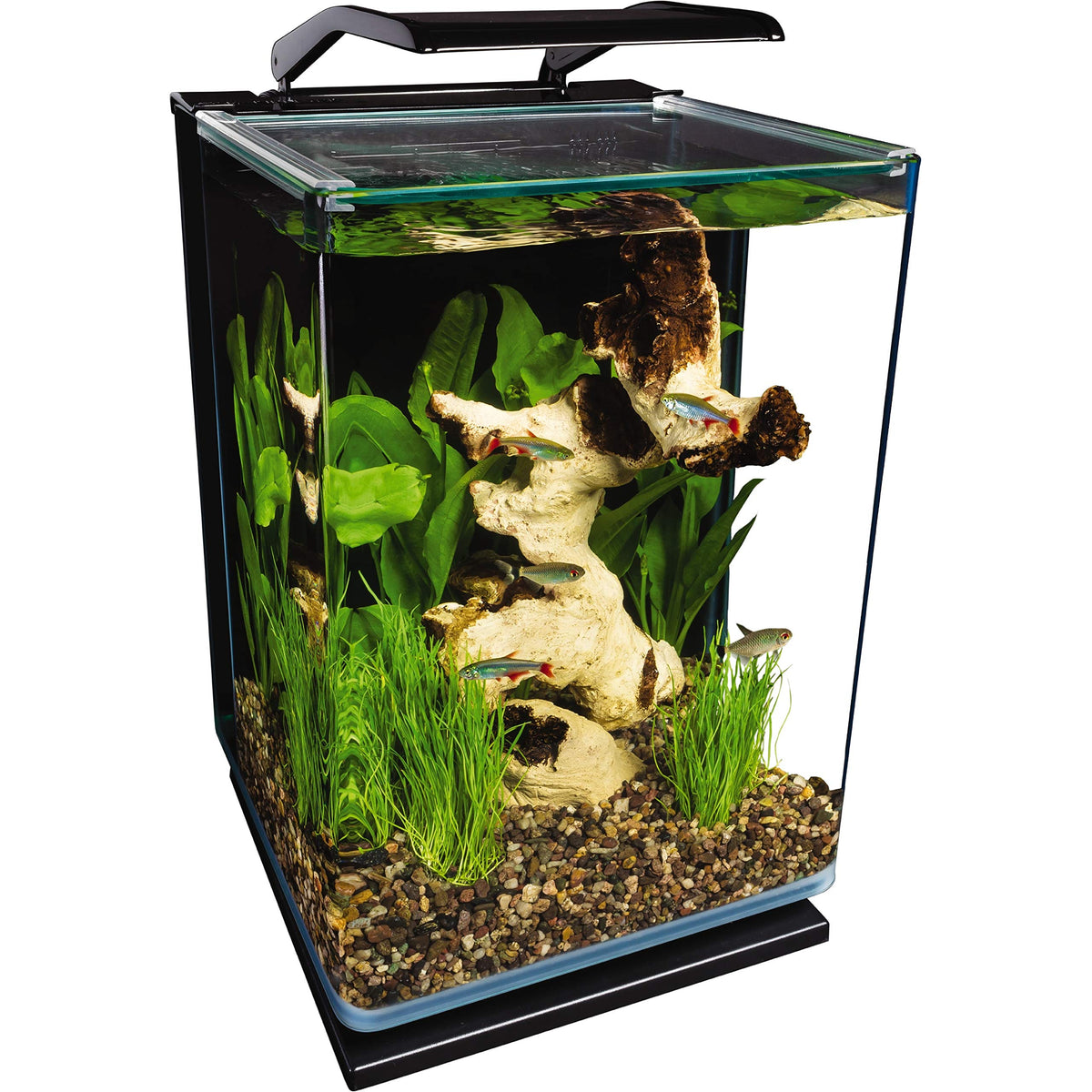 Glass LED Aquarium Kit, 5 Gallons, Hidden Filtration, Black H1058