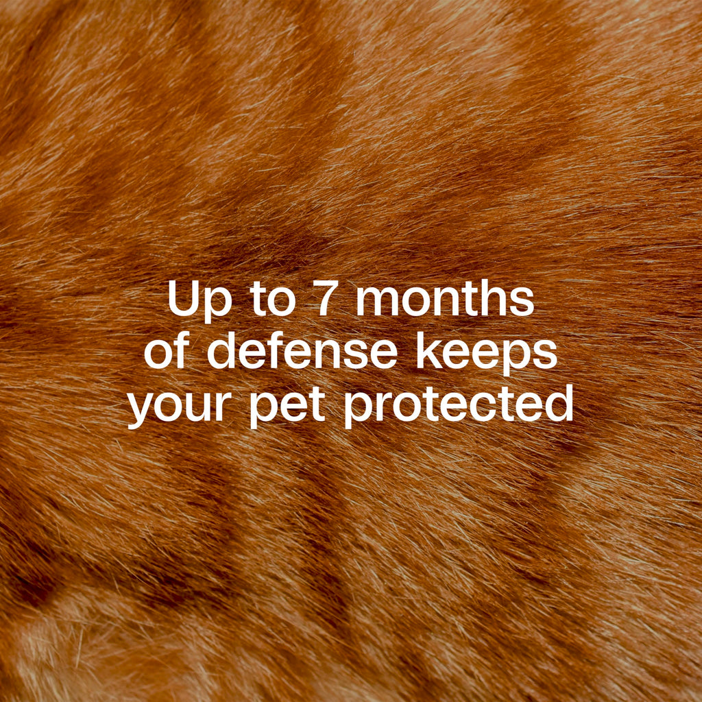 Adjustable Flea & Tick Collar for Cats O393